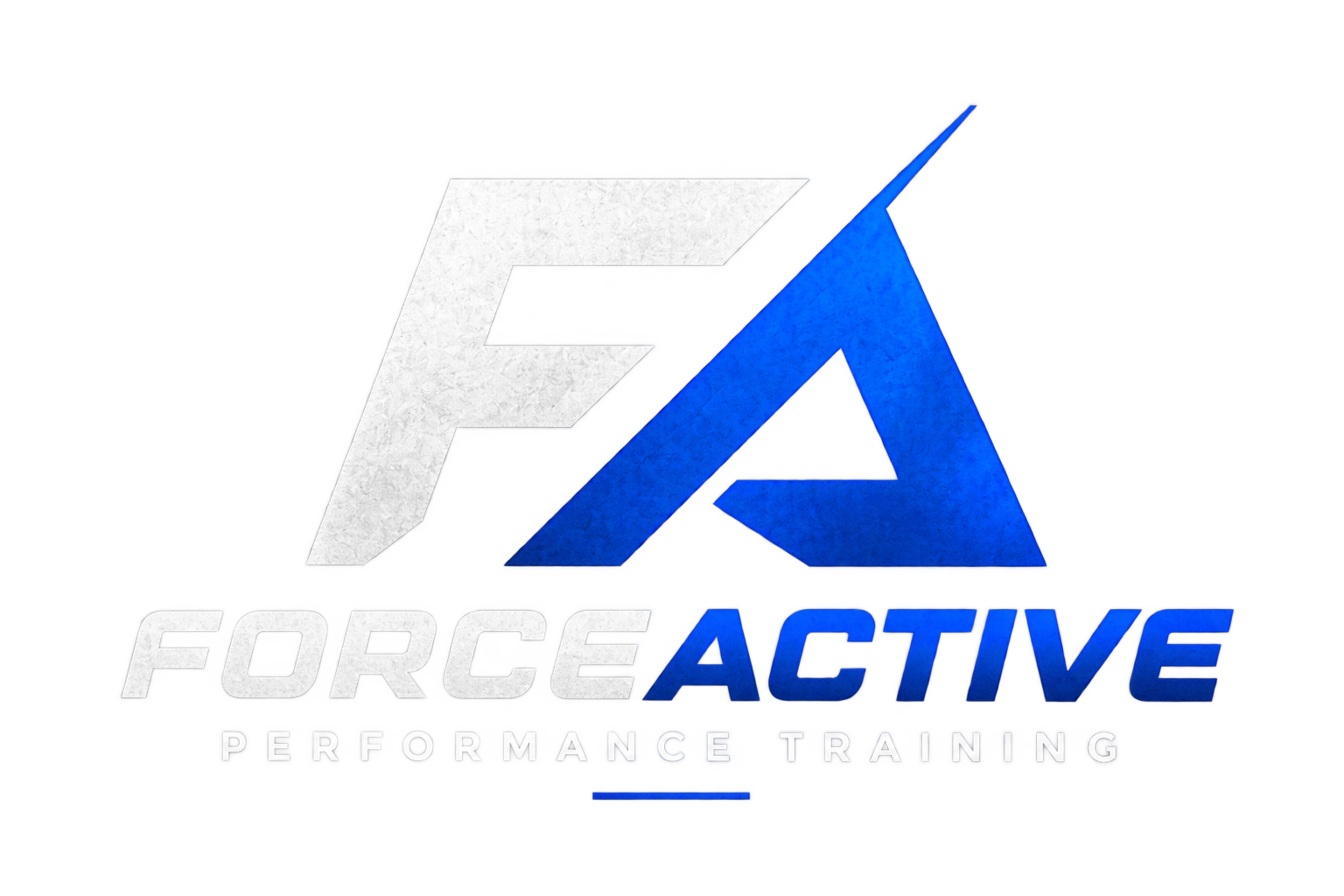 ForceActive Performance Training
